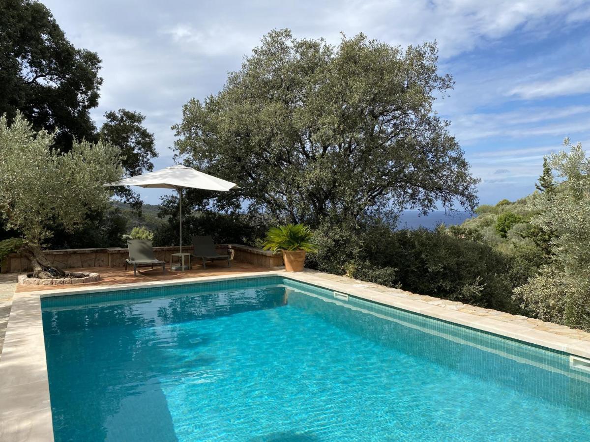 Villa Rustica S'Oliveret Soller Exterior photo